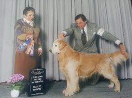 Okeechobee Gambit's Cody