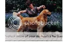 & Beckwiths LR Dynamite Max WCI & Beckwiths LR Dynamite Max WCI