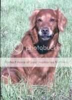 Sunny Sandy Max *** Sunny Sandy Max ***