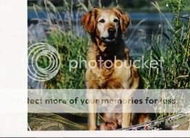 Maggie's Every Picture Maggie's Every Picture