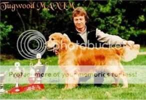 Tugwood MAXIM Tugwood MAXIM