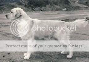 Styal Samarkand