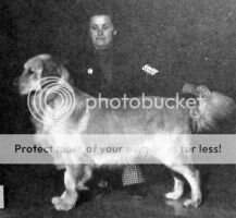 Tugwood Cavalier Tugwood Cavalier