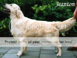 Follow Me Jeanton