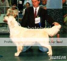 Vanity Jeanton W'96 Vanity Jeanton W'96