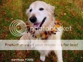 Marithyme Emily Geiger Marithyme Emily Geiger