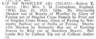 Kip Of Woolley