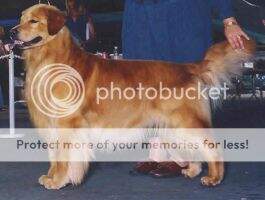Monograms Duffy B Dalton Monograms Duffy B Dalton
