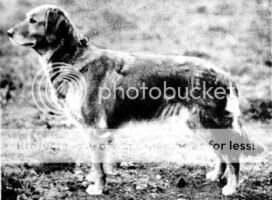 Colthill Delia Colthill Delia