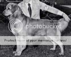Ch. Spindrif's Dizzy Dean Ch. Spindrif's Dizzy Dean