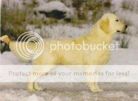 DUCH NUCH Blakesley Cromwell NV-95 NV-96 NORDV-97 DUCH NUCH Blakesley Cromwell NV-95 NV-96 NORDV-97