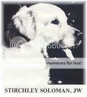 Stirchley Soloman Stirchley Soloman