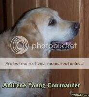 Amirene Young Commander