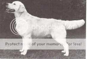 NORDV-85 NORDUCH INTUCH Moviestar's Buster Keaton