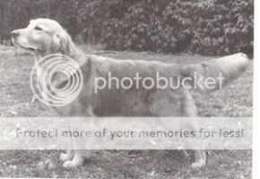 Dasty Memories Of You/Dasty Memoriesof-You Dasty Memories Of You/Dasty Memoriesof-You