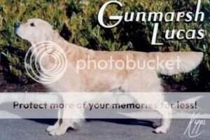 Gunmarsh Lucas Gunmarsh Lucas
