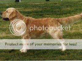 Ashlyn Piper Of Canina