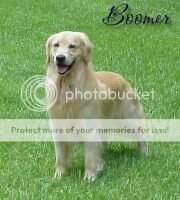 Nealcrest Thunder Bay Nealcrest Thunder Bay