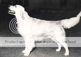 NUCH Camillo (N07331/76) NUCH Camillo (N07331/76)