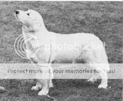 NUCH Fanny (S34349/77) NUCH Fanny (S34349/77)