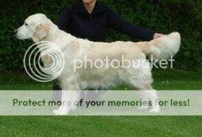 Trewater Sadie Trewater Sadie