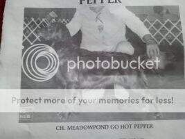 Meadowpond Go Hot Pepper Meadowpond Go Hot Pepper