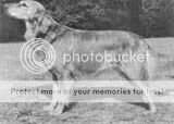 Vickersby Vickers Vickersby Vickers