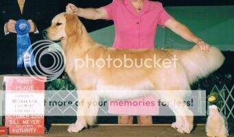 Pacificgold's Hugs And Kisses Pacificgold's Hugs And Kisses