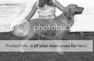 Mel-Bach's Forever Amber