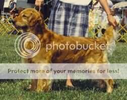 Waterfords J. Edgar Waterfords J. Edgar