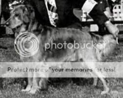 Freshfield King's Legend Freshfield King's Legend
