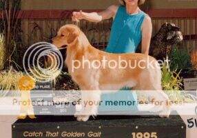 Honor-Citrine's Easy as Pie Honor-Citrine's Easy as Pie