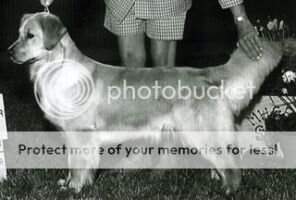 Westmarch Just One Look MXB2 MJC Westmarch Just One Look MXB2 MJC