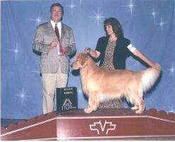 UKC GR CH/ CKC CH Gazebo's Angel Of The Road