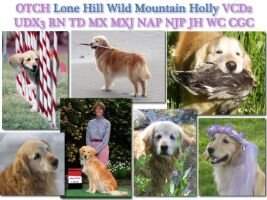 Lone Hill Wild Mountain Holly UDX3 RN