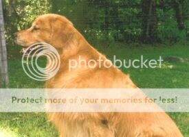 U-OCH U-ACH Deauxquest Trophy Hunter UDX3 CCA U-OCH U-ACH Deauxquest Trophy Hunter UDX3 CCA