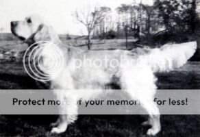 Catcombe Cordoroy