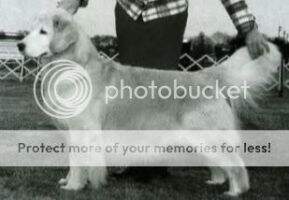 Goodtime's Glory Days