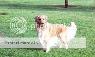 Citrine's Here's Lookin at U