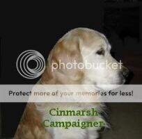 Cinmarsh Campaigner Cinmarsh Campaigner