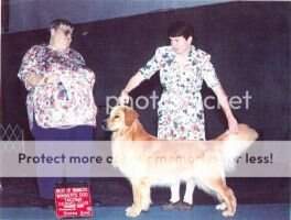 VanReel's Foolproof Fashion VanReel's Foolproof Fashion