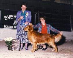 Oriana Belgold Kismet Oriana Belgold Kismet