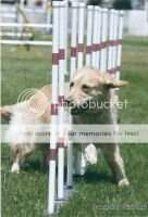 U-CD Lornadoone Encore Encore NF CCA