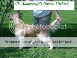 Ambercroft's Darren Michael Ambercroft's Darren Michael