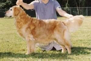 Oriana Delyn Aur Can.CD Can.Am.TD