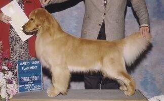 Summit Goldenwind High Caliber