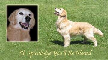 Spiritlodge You'll Be Blessed GRCA