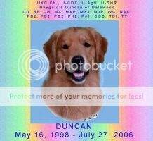 U-CH U-Ag II U-SHR Hyegold's Duncan of Dalewood NAC PD2+