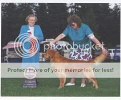 Maximillian Bear of Fyke CanCD