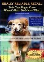 Woodwind's Dashwood Cricket CCA Woodwind's Dashwood Cricket CCA
